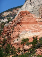 Zion National Park Utah USA 77